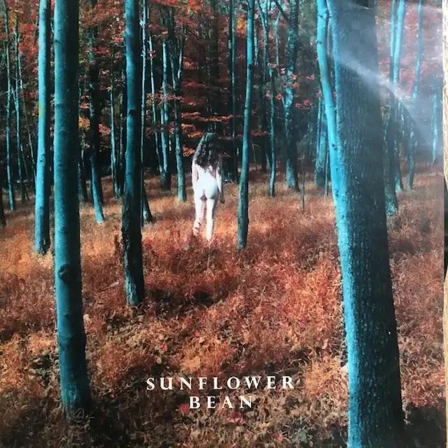 SUNFLOWER BEAN / I HEAR VOICES ／ STALKER