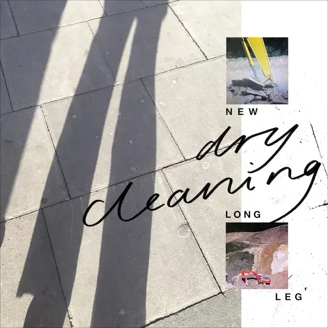 DRY CLEANING / NEW LONG LEG Υʥ쥳ɥ㥱å ()