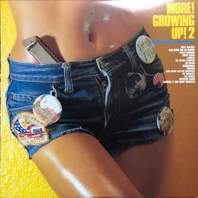 VARIOUS (DONOVAN、JOHN BARRY) / MORE! GROWING UP! 2のアナログレコードジャケット (準備中)