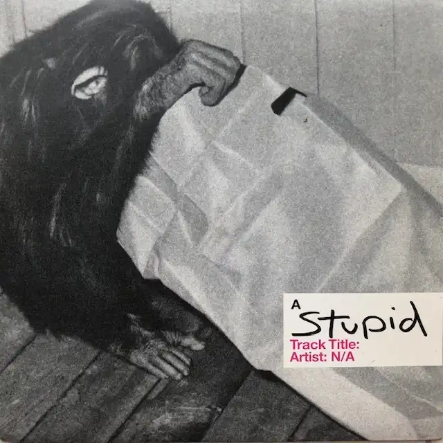 UNKNOWN ARTIST / STUPID ／ MONKEY