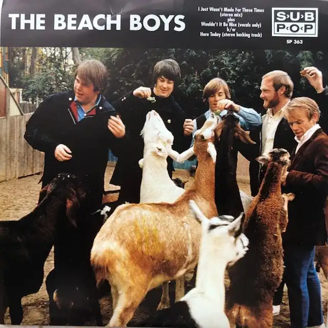 BEACH BOYS / I JUST WASNT MADE FOR THESE TIMES (STEREO MIX)