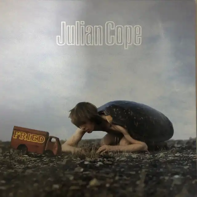 JULIAN COPE / FRIED