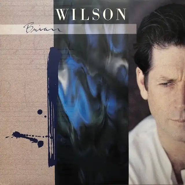 BRIAN WILSON / SAME