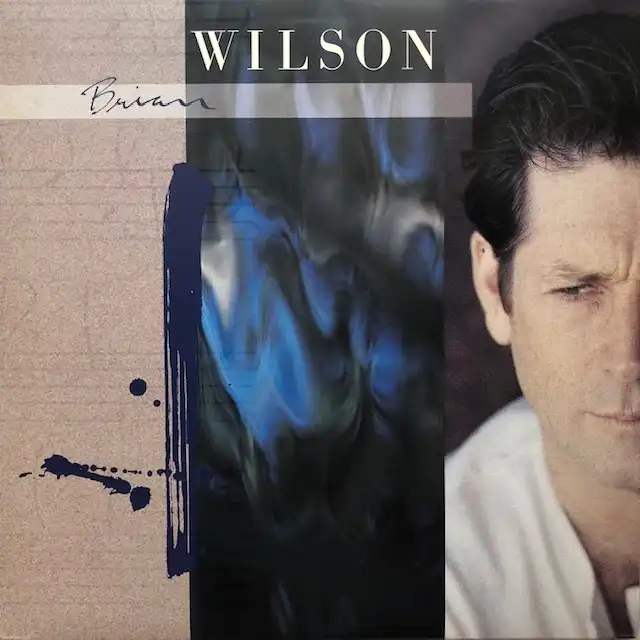 BRIAN WILSON / SAMEΥʥ쥳ɥ㥱å ()