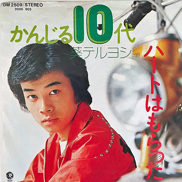 葵テルヨシ / かんじる10代
