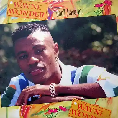WAYNE WONDER / DON’T HAVE TO...