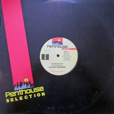 WAYNE WONDER ／ THRILLER U / SADDEST DAY ／ BEST OF ME