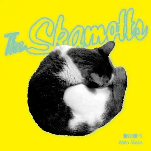 SKAMOTTS / 愛は勝つ ／ ALIEN STEPS