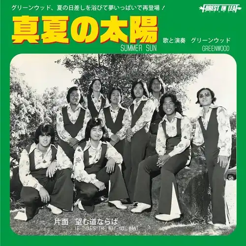 GREENWOOD (グリーンウッド) / SUMMER SUN ／ IF THAT'S THE WAY YOU WANT IT