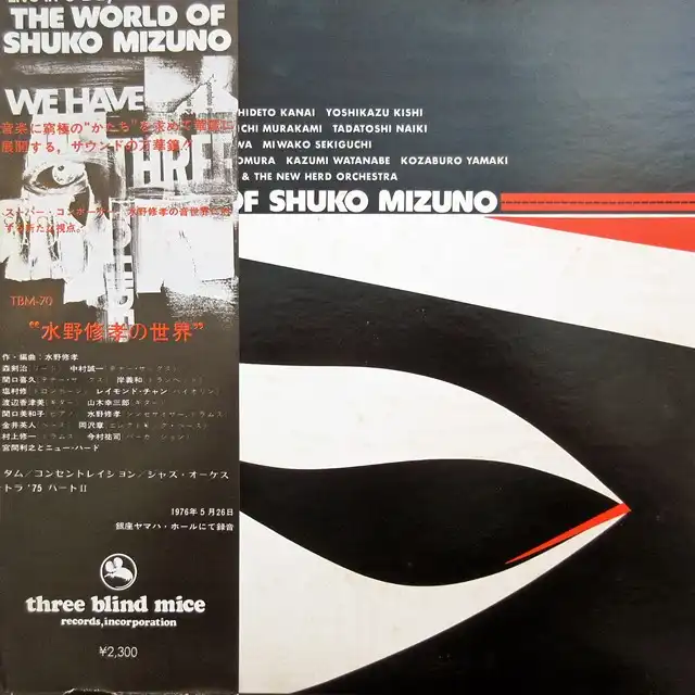 水野修孝 / WORLD OF SHUKO MIZUNO (水野修孝の世界)