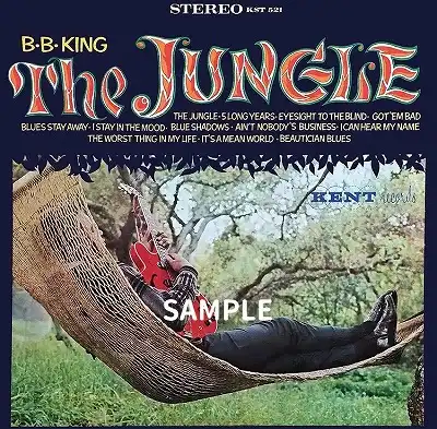 B.B. KING / JUNGLEΥ쥳ɥ㥱åȼ̿