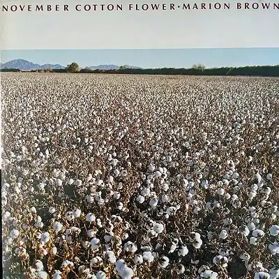 MARION BROWN / NOVEMBER COTTON FLOWER