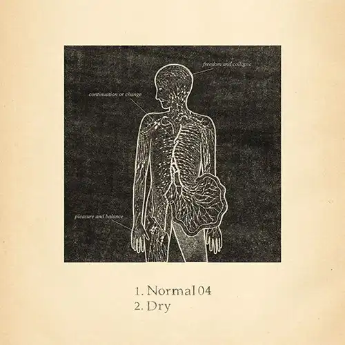 SUGAR HOUSE / NORMAL04 / DRYのアナログレコードジャケット (準備中)