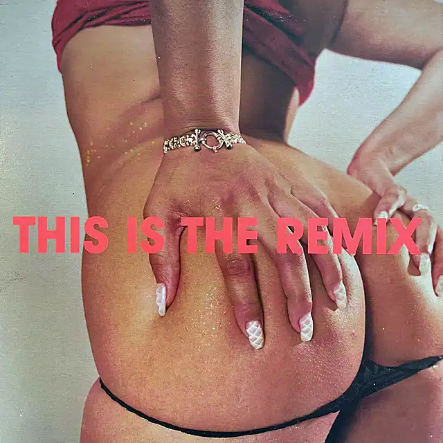 SPANK ROCK / THIS IS THE REMIX