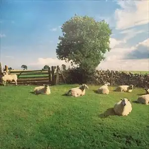 KLF / CHILL OUT ALBUM
