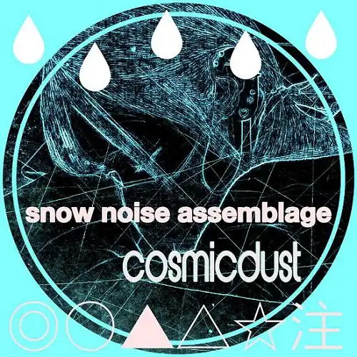 COSMICDUST / SNOW NOISE ASSEMBLAGEΥʥ쥳ɥ㥱å ()