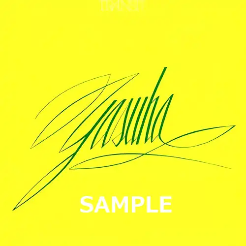 泰葉 / トランジット