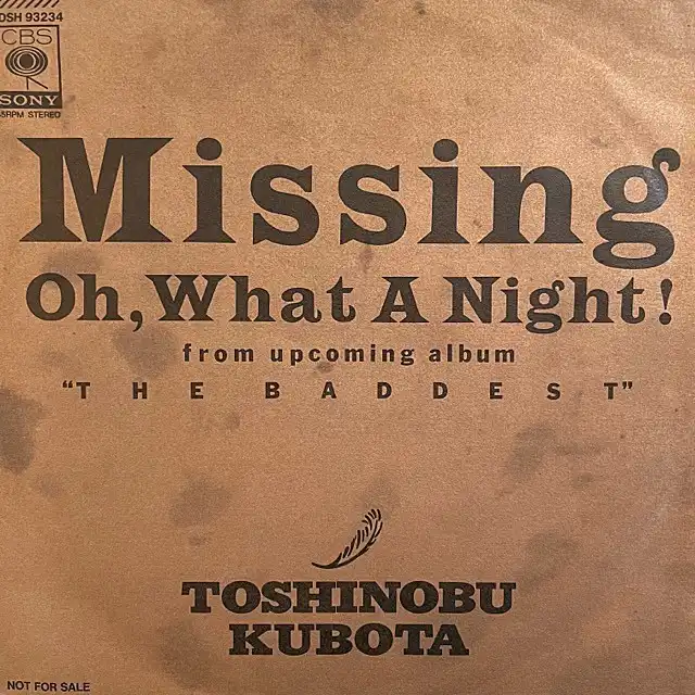 TOSHINOBU KUBOTA（久保田利伸） / MISSING