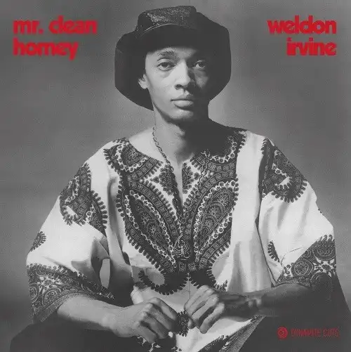 WELDON IRVINE / MR CLEAN ／ HOMEYのアナログレコードジャケット (準備中)