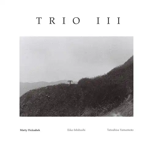 MARTY HOLOUBEK / TRIO III