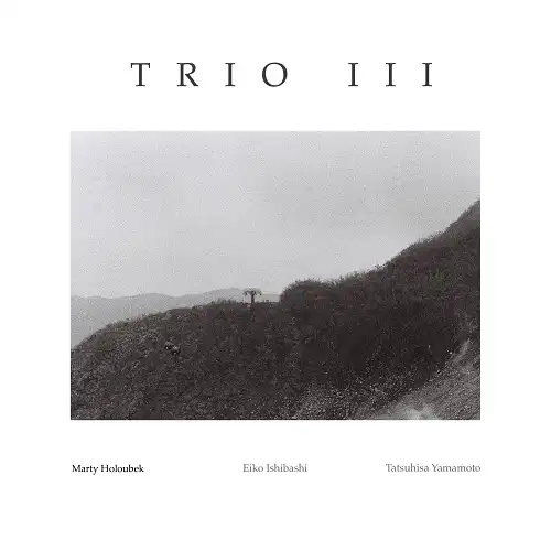 MARTY HOLOUBEK / TRIO IIIΥʥ쥳ɥ㥱å ()