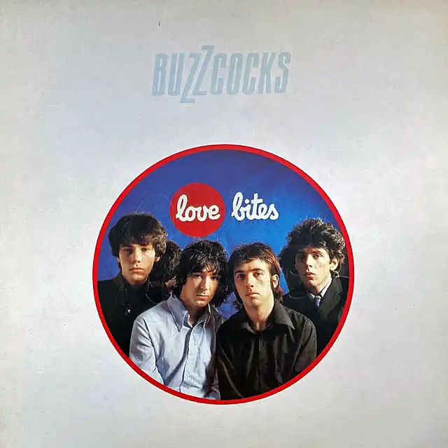 BUZZCOCKS / LOVE BITESΥʥ쥳ɥ㥱å ()