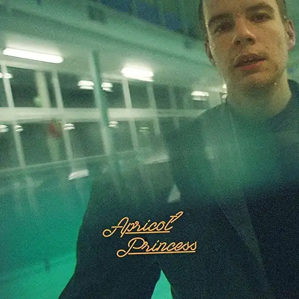 REX ORANGE COUNTY / APRICOT PRINCESSΥʥ쥳ɥ㥱å ()