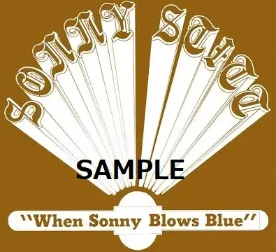 SONNY STITT / WHEN SONNY BLOWS BLUEΥʥ쥳ɥ㥱å ()