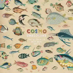 COSMO SHELDRAKE / MUCH MUCH HOW HOW AND I