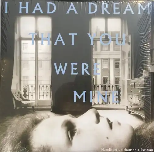 HAMILTON LEITHAUSER + ROSTAM / I HAD A DREAM THAT YOU WERE MINE