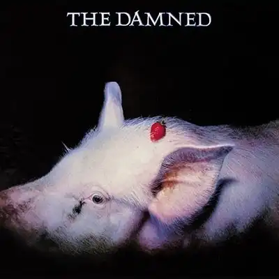 DAMNED / STRAWBERRIESΥʥ쥳ɥ㥱å ()