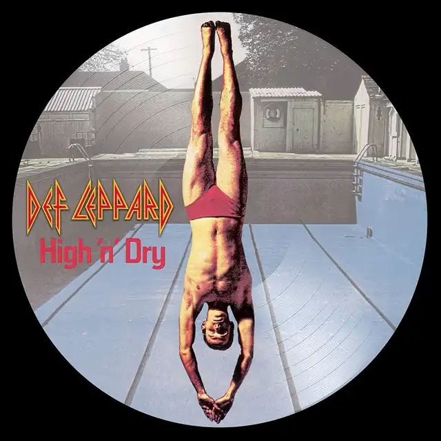 DEF LEPPARD / HIGH N DRY (PICTURE VINYL)