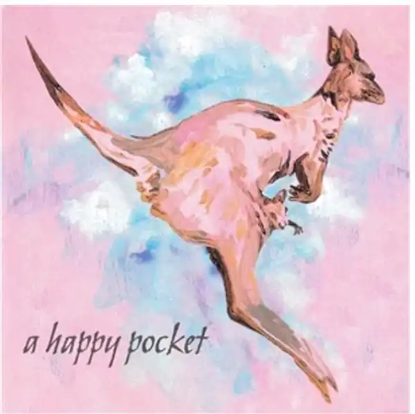 TRASHCAN SINATRAS / A HAPPY POCKET 