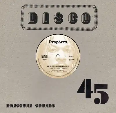 YABBY YOU & THE PROPHETS / KING PHARAOHS PLAGUEΥʥ쥳ɥ㥱å ()