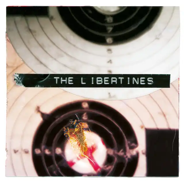 LIBERTINES / WHAT A WASTER  I GET ALONG