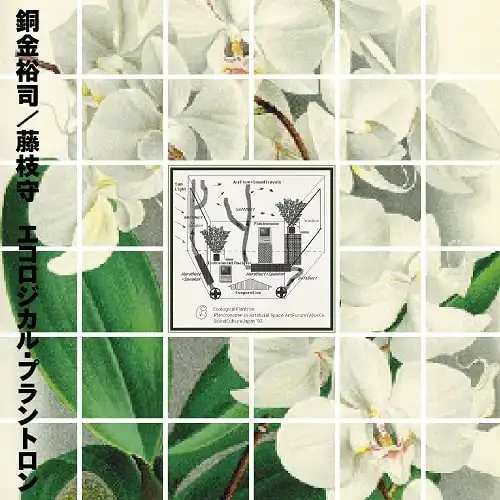 銅金裕司 ／ 藤枝守 / エコロジカル・プラントロン 