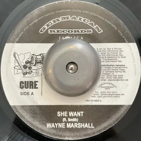 WAYNE MARSHALL ／ CE'CILE / SHE WANT ／ RUDE BWOY THUG LIFE
