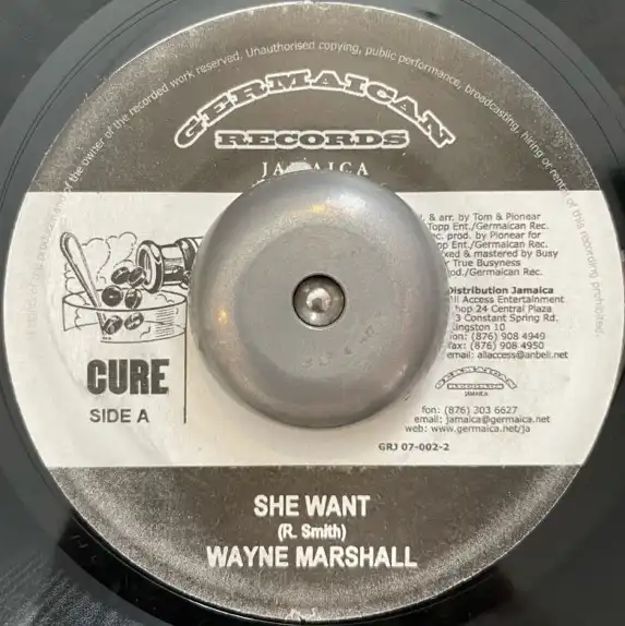 WAYNE MARSHALL  CE'CILE / SHE WANT  RUDE BWOY THUG LIFEΥʥ쥳ɥ㥱å ()