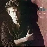 DON HENLEY / BUILDING THE PERFECT BEAST