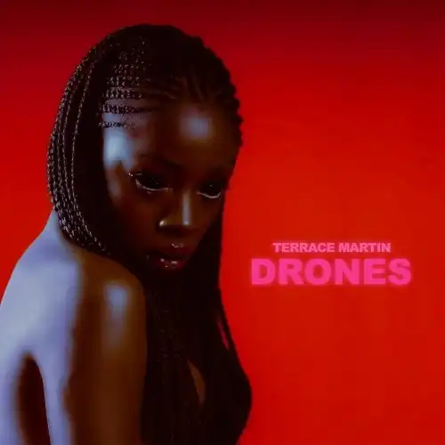 TERRACE MARTIN / DRONESのアナログレコードジャケット