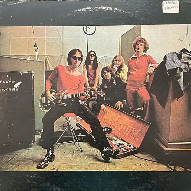 FLAMIN' GROOVIES / TEENAGE HEADΥʥ쥳ɥ㥱å ()