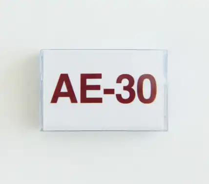 SAM GENDEL / AE-30