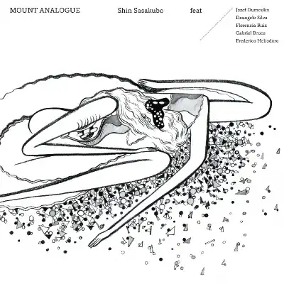 SHIN SASAKUBO (笹久保伸) / MOUNT ANALOGUE