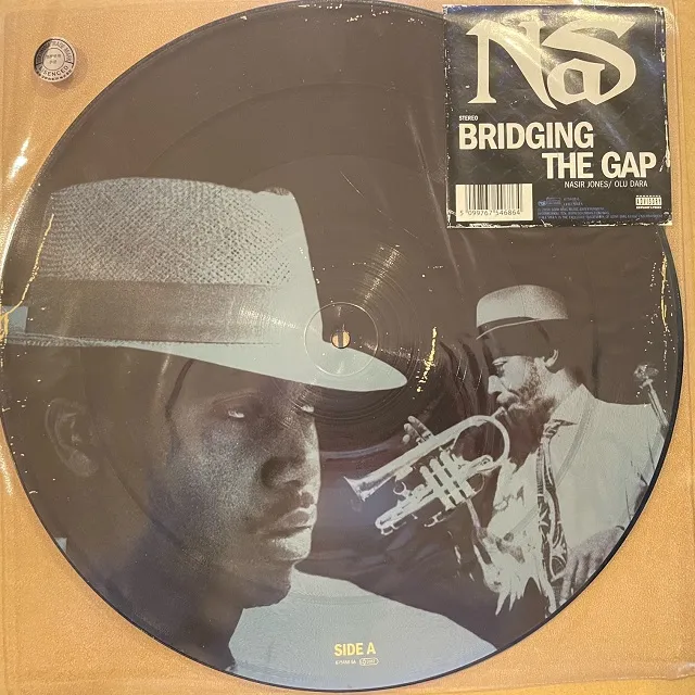 NAS / BRIDGING THE GAP (PICTURE DISC)