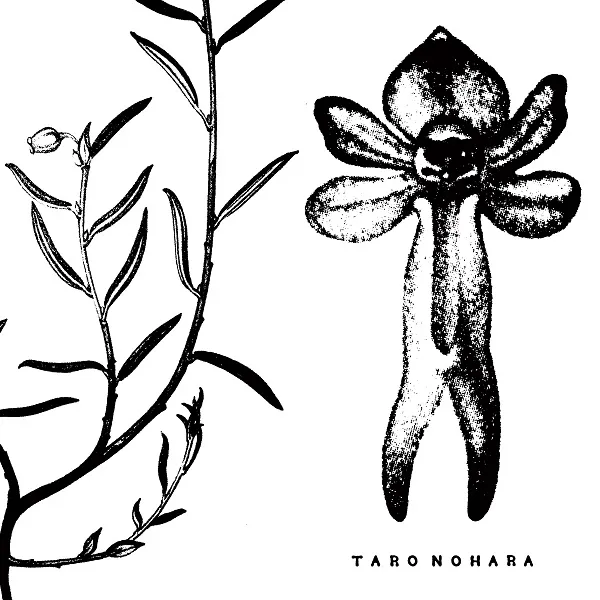 TARO NOHARA (やけのはら) / POLY​-​TIME SOUNDSCAPES ／ FOREST OF THE SHRINE