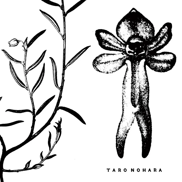 TARO NOHARA (䤱ΤϤ) / POLY​-​TIME SOUNDSCAPES  FOREST OF THE SHRINE