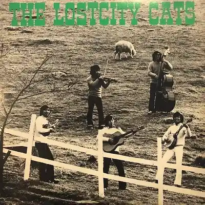 ロストシティー・キャッツ / LOSTCITY CATSのアナログレコードジャケット