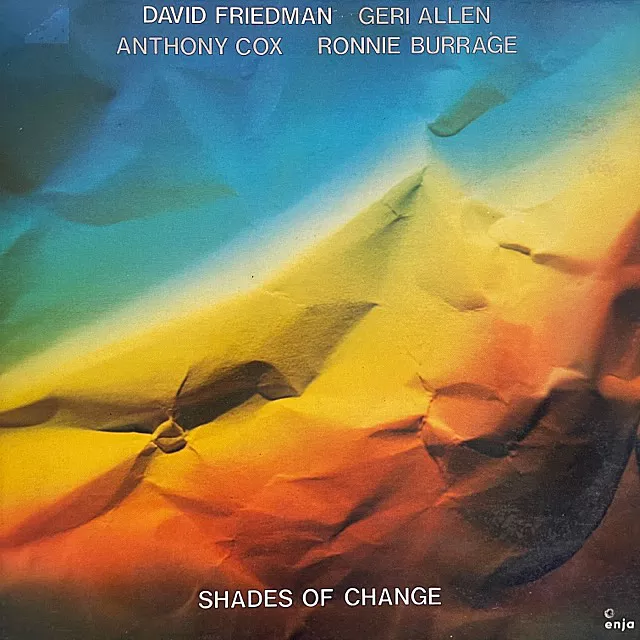 DAVID FRIEDMAN / SHADES OF CHANGE