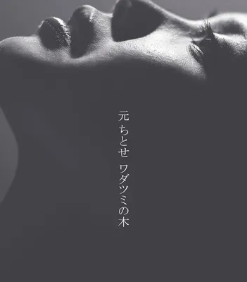 元ちとせ / ワダツミの木(2NDプレス)のアナログレコードジャケット (準備中)