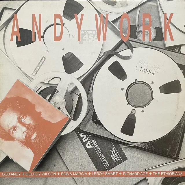 VARIOUS (BOB ANDY、DELROY WILSON) / ANDYWORK